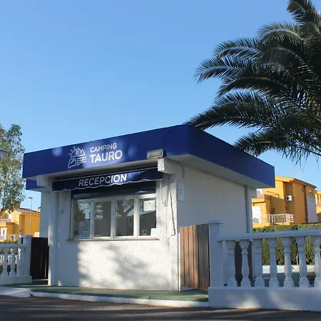 キャンプ場 Tauro
